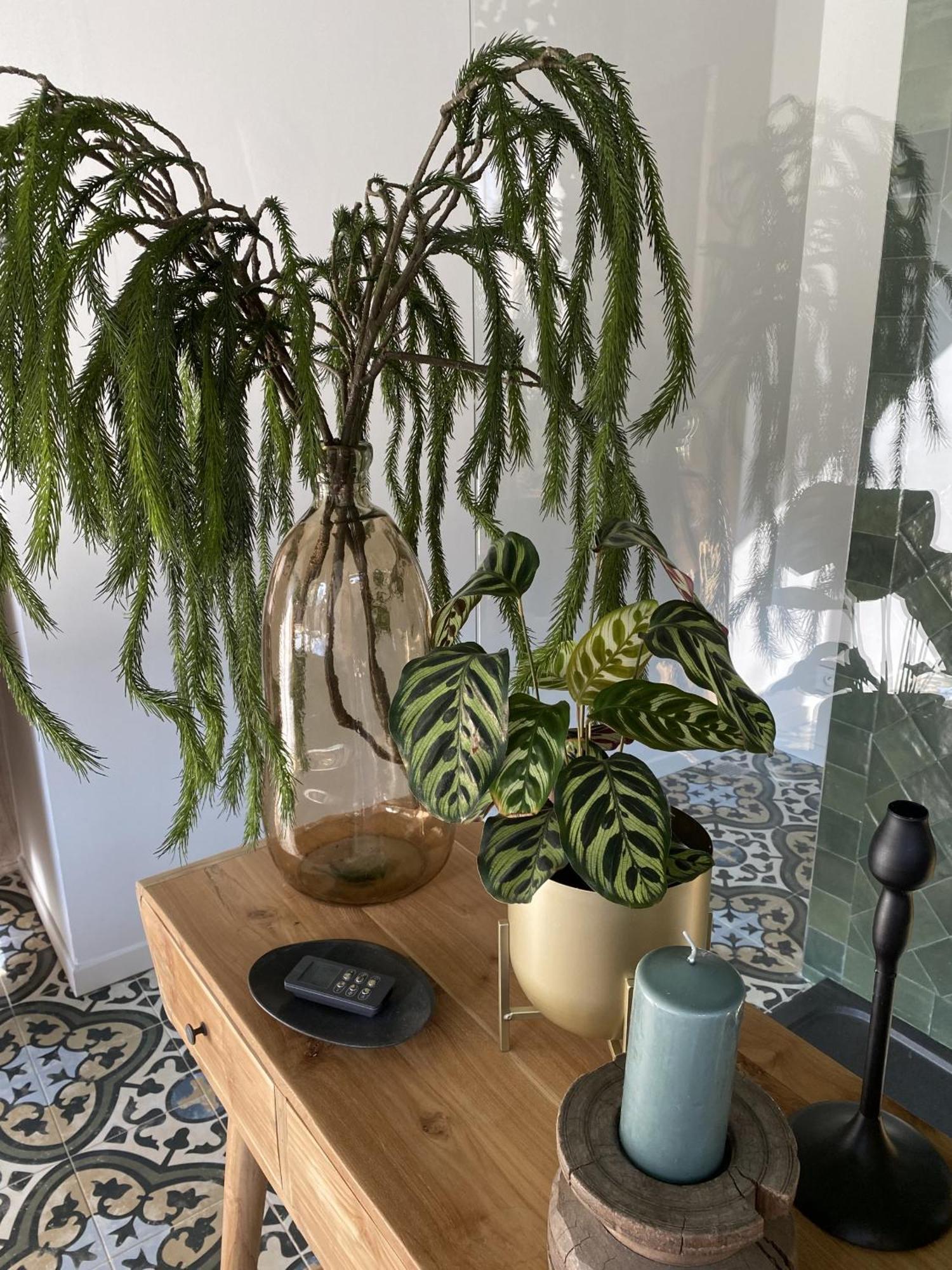 La Villa Barbieux Roubaix Habitación foto